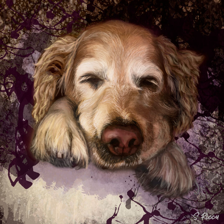 Arte digitale intitolato "Golden Labrador Ret…" da Shery Riccu, Opera d'arte originale, Pittura digitale