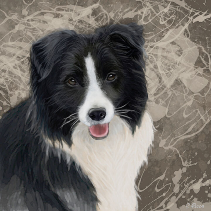 数字艺术 标题为“Border Collie in hy…” 由Shery Riccu, 原创艺术品, 2D数字工作