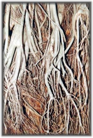 Photography titled "Roots" by Shihab, Original Artwork