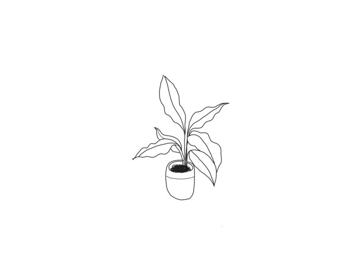 Tekening getiteld "Tiny plant on pot:…" door Shinta Mudrikah, Origineel Kunstwerk, Digitale fotografie