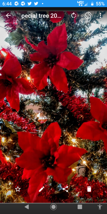 Фотография под названием "Christmas tinsel" - Shirley Jacobsen, Подлинное произведение искусства, Не манипулируемая фотограф…