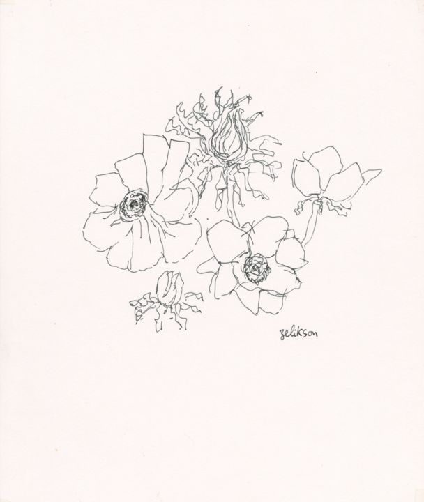 Drawing titled "E23 Coquelicots" by Amos Zelikson, Original Artwork, Ink