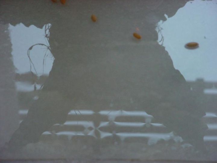 Photography titled ""Untitled"" by Shreenivas Ransubhe, Original Art,