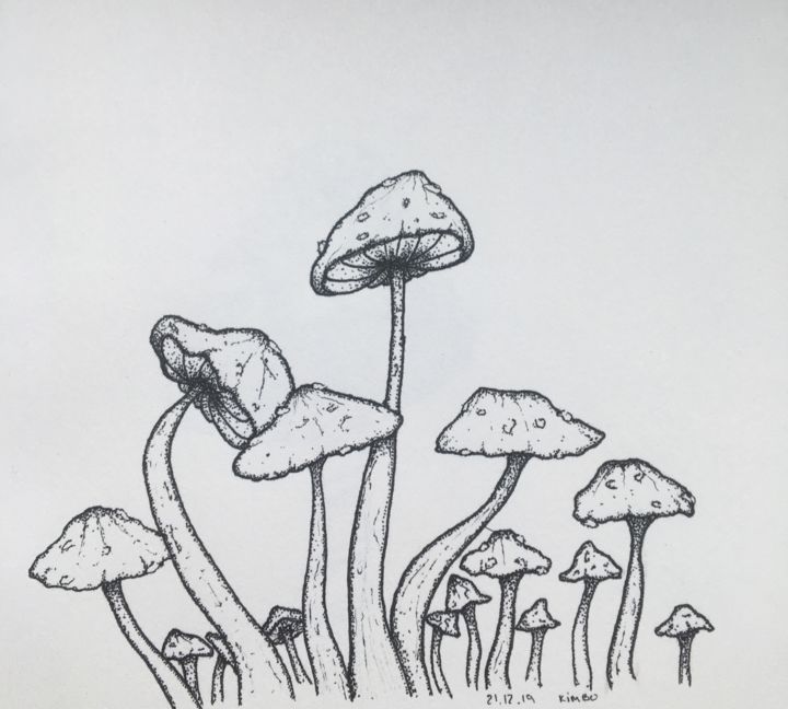 Tekening getiteld "shroom.world" door Shrumii, Origineel Kunstwerk, Potlood