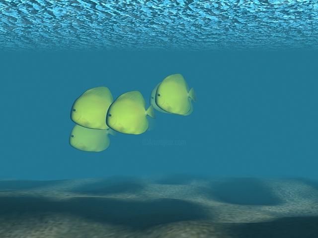 Digital Arts titled "FISHPOND.jpg" by Shyam Menon, Original Art,