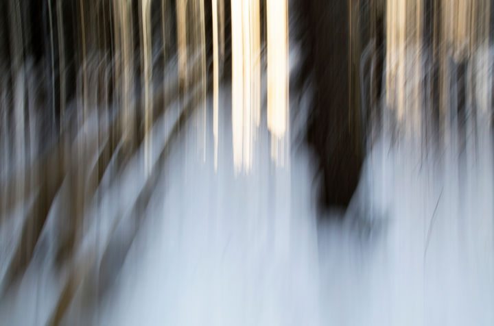Arts numériques intitulée "In forest 2" par Sigita Lapina, Œuvre d'art originale, Photographie numérique