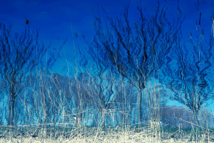 Photographie intitulée "In blue" par Sigita Rusina(Lapina), Œuvre d'art originale, Photographie numérique