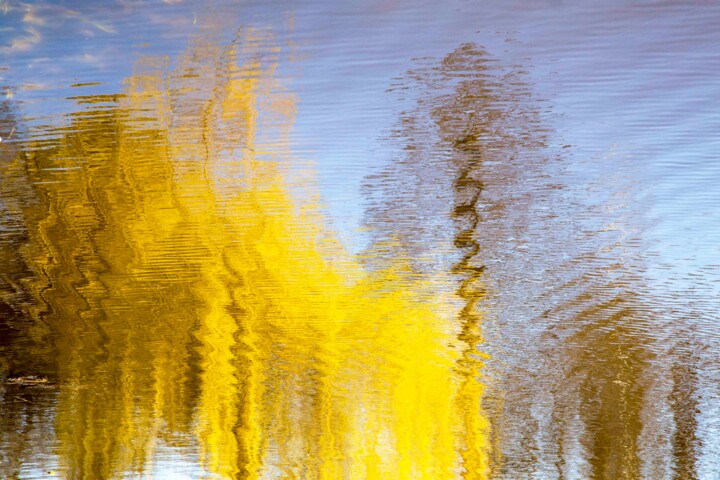 Fotografía titulada "In Autumn" por Sigita Rusina(Lapina), Obra de arte original, Fotografía digital