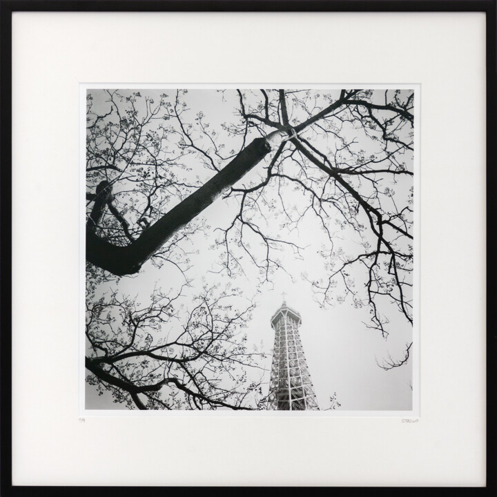 Photography titled "Tree and the Tower,…" by Gerald Berghammer, Original Artwork, Analog photography Mounted on Cardboard