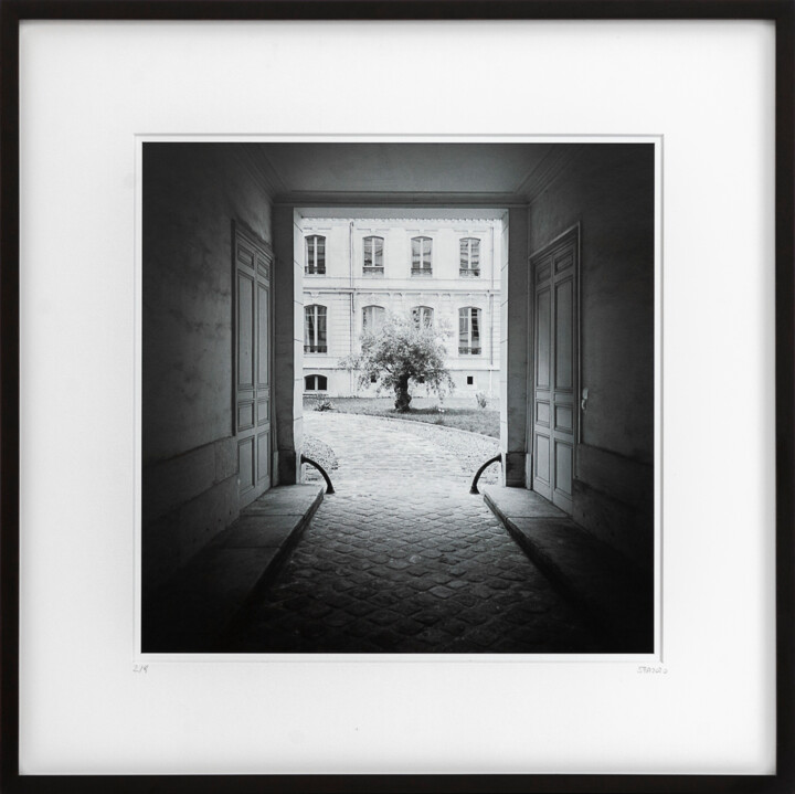 Fotografia intitolato "Tree in the Courtya…" da Gerald Berghammer, Opera d'arte originale, fotografia a pellicola Montato su…