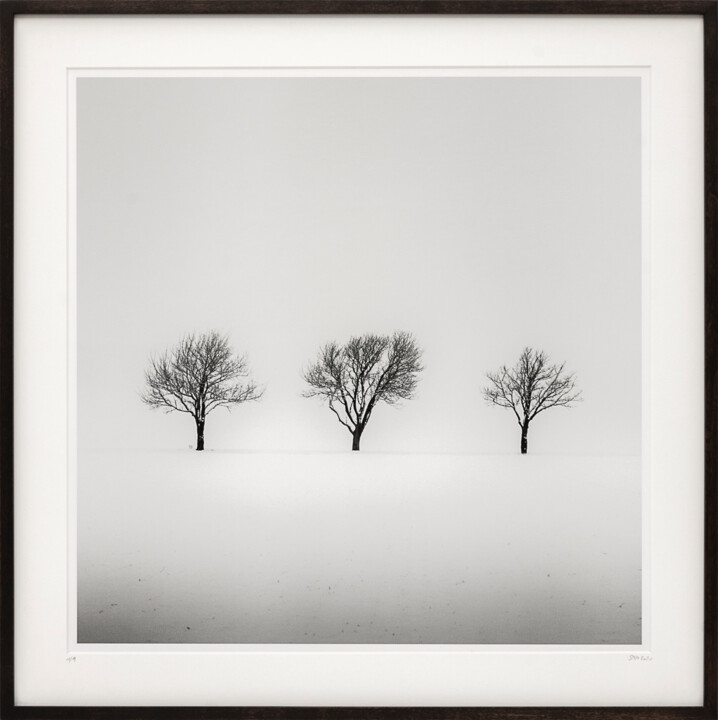 Fotografie getiteld "Trees in snowy Fiel…" door Gerald Berghammer, Origineel Kunstwerk, Film fotografie Gemonteerd op Karton