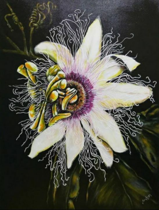 Painting titled "Flor de maracujá" by Silvia Kupfer, Original Artwork, Acrylic