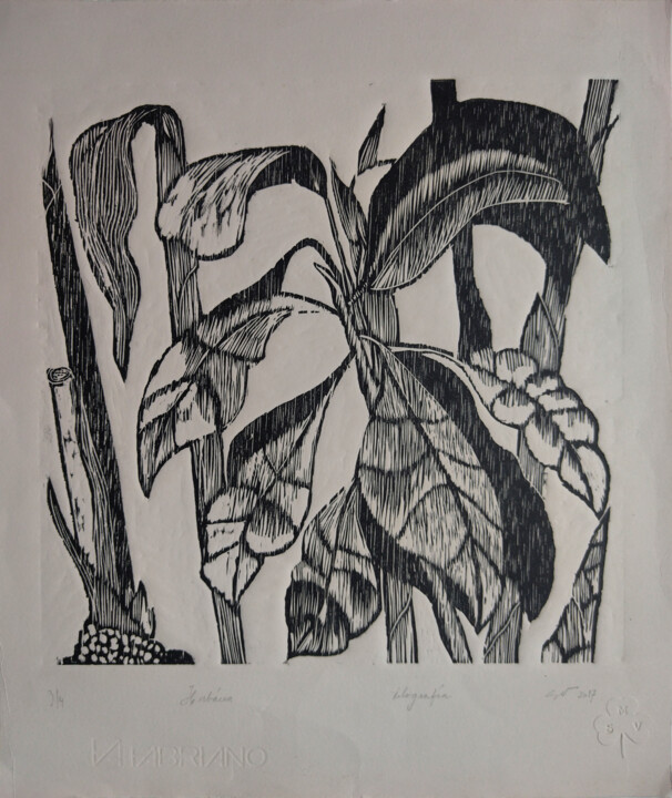 Gravures & estampes intitulée "Herbácea I" par Silvia Valdano, Œuvre d'art originale, Xylographie