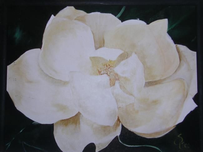 Pittura intitolato "Magnolia blanca" da Silvia Vazquez, Opera d'arte originale, Olio