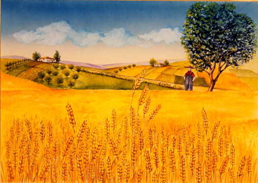 Disegno intitolato "il grano" da Silvia Benfenati, Opera d'arte originale, Altro