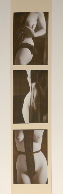 Fotografia intitulada "trittico verticale" por Silvia Benfenati, Obras de arte originais