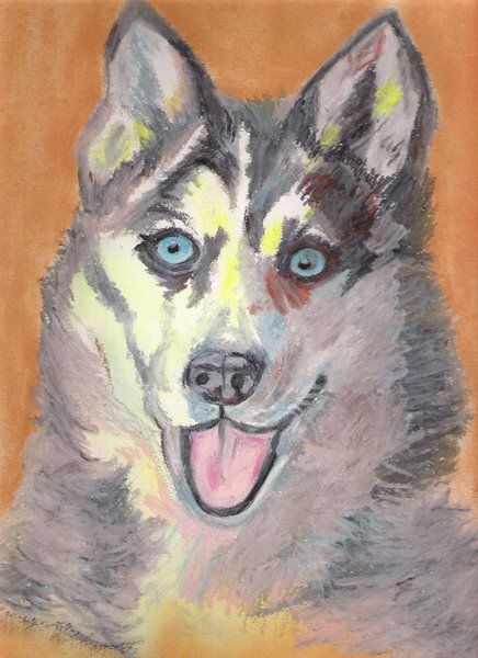 Disegno intitolato "Husky Siberiano" da Silviane Moon, Opera d'arte originale, Pastello