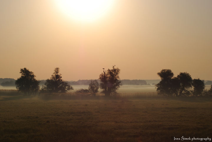 Фотография под названием "At dawn" - Simek-Ines, Подлинное произведение искусства