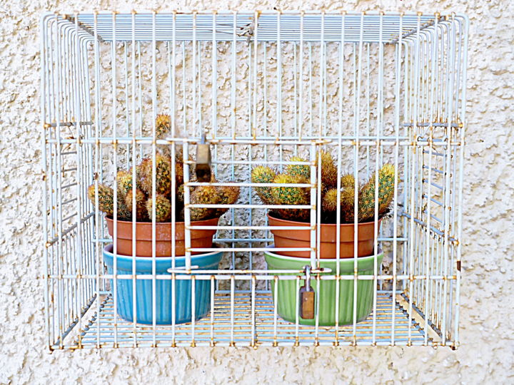 Φωτογραφία με τίτλο "caged" από Simon Gaitanidis, Αυθεντικά έργα τέχνης, Ψηφιακή φωτογραφία