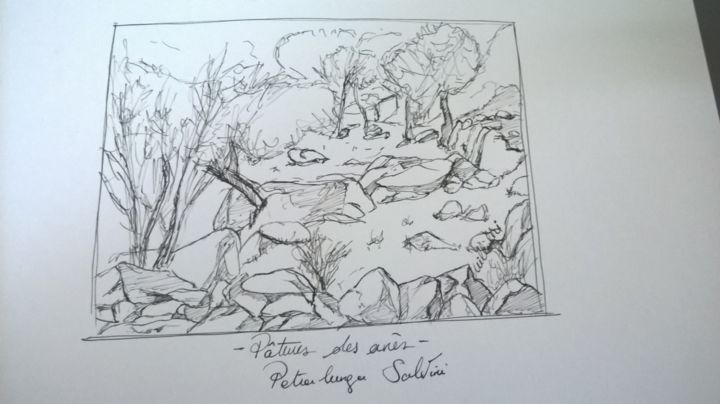 Drawing titled "au détour du maquis" by Simon Amant Milleliri, Original Artwork, Ink