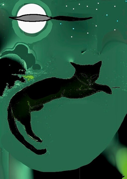 Digital Arts titled "black cat moon" by Simon Taylor, Original Artwork, Digital Painting