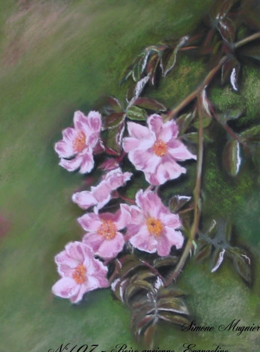 Pintura titulada "n°107 - Rose-ancien…" por Simone Mugnier, Obra de arte original, Pastel