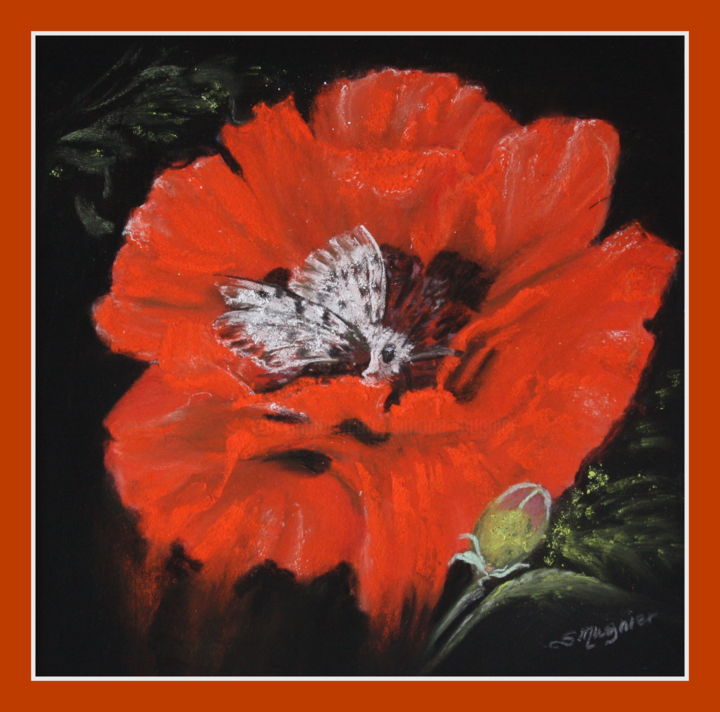 Картина под названием "N°351-Fleur de coqu…" - Simone Mugnier, Подлинное произведение искусства, Пастель