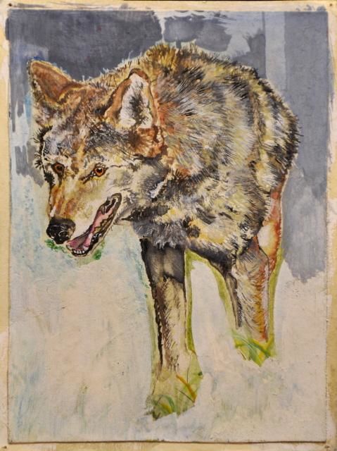 Painting titled "Red wolf" by Simone Licht, Original Artwork, Oil