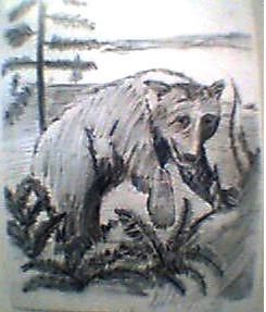 Drawing titled "Grizzly Outlook" by Deborah Duffy, Original Artwork
