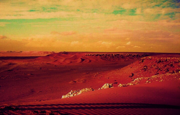 「desert melancholy (…」というタイトルの写真撮影 Sigrun Neumann (Sineu)によって, オリジナルのアートワーク, デジタル