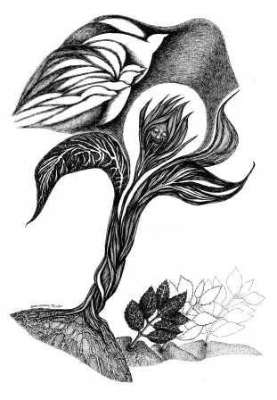 "illustration Djamal…" başlıklı Resim Sigrun Neumann (Sineu) tarafından, Orijinal sanat