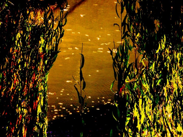 Photography titled "spiegelung ...." by Sigrun Neumann (Sineu), Original Artwork