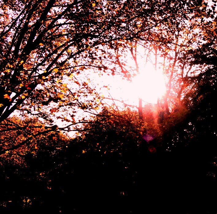 Fotografía titulada "fliessendes licht…" por Sigrun Neumann (Sineu), Obra de arte original