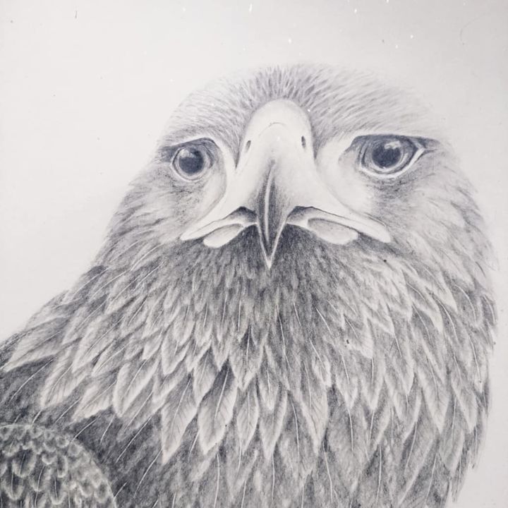 Drawing titled "Eagle 4" by Rayne Van Sing, Original Artwork