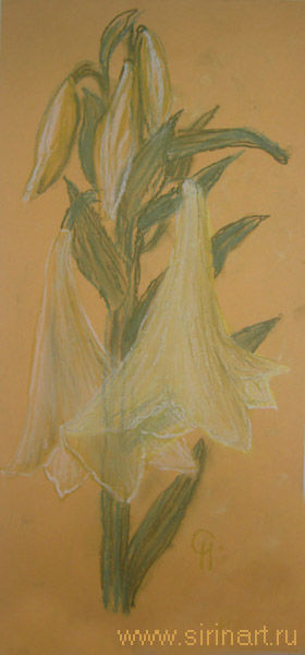 Картина под названием "Irina Sergeeva , "Л…" - Сирина, Подлинное произведение искусства, Масло