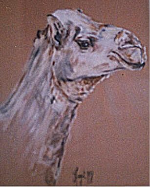 Peinture intitulée "Le chameau" par Sylvie Briand, Œuvre d'art originale, Huile
