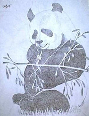 Pintura intitulada "Panda" por Sarah Johnson, Obras de arte originais, Outro