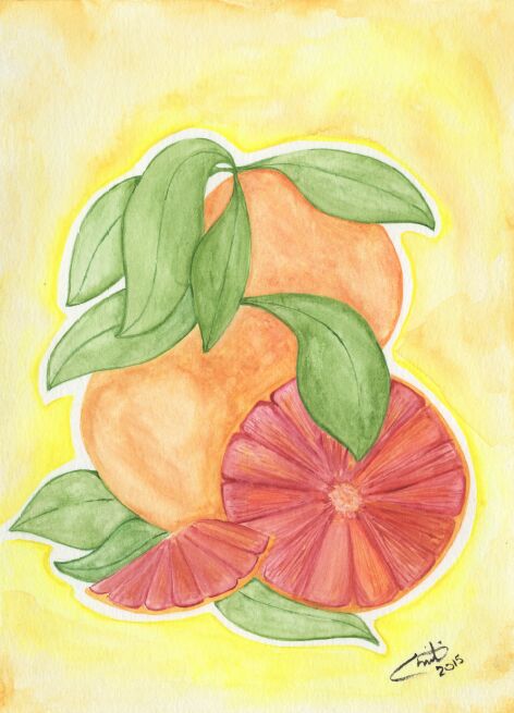 Painting titled "Blood Orange" by Christina Desousa, Original Artwork, Watercolor