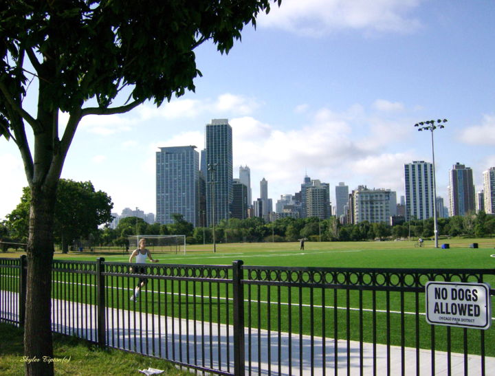 Fotografia zatytułowany „Chicago Park” autorstwa Skyler, Oryginalna praca, Olej