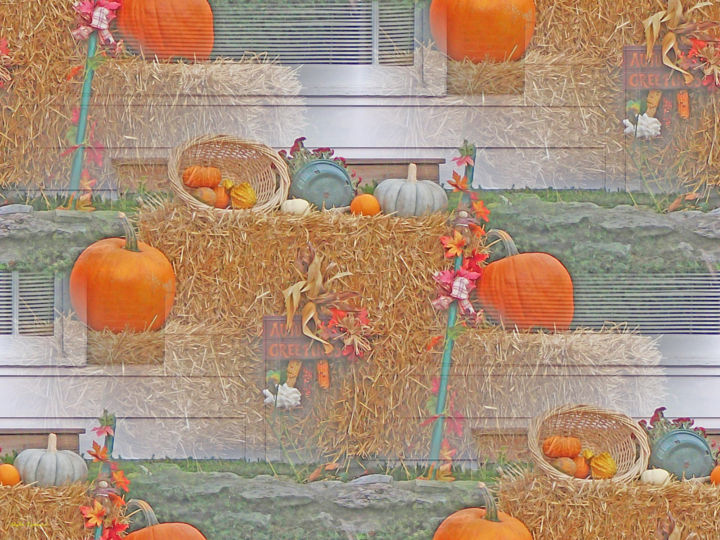 Photography titled "seemsful-pumpkins.j…" by Skyler, Original Artwork