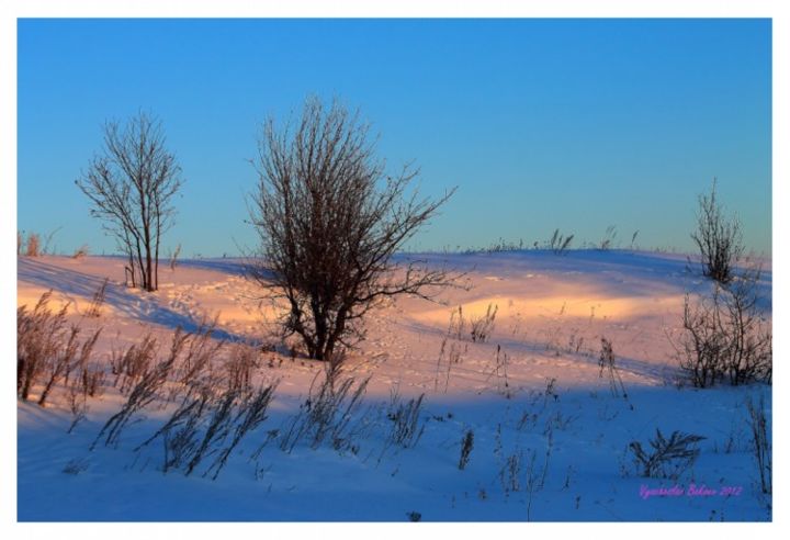 Photographie intitulée "Зимний вечер!" par Viacheslav Bakaev, Œuvre d'art originale