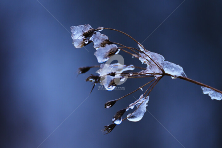 Photography titled "Winter ice creation" by Slydesign, Original Artwork, Digital Photography