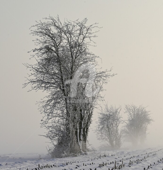Photographie intitulée "Lonely guardian" par Slydesign, Œuvre d'art originale, Photographie numérique