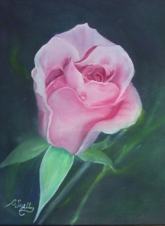 Painting titled "Pink Rose-1460.jpg" by Charles, Original Artwork, Oil