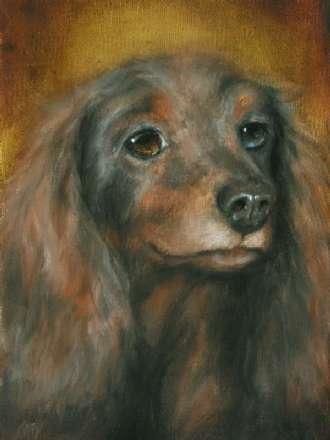 Painting titled "Faithful" by The Painter Of Homeless Pets, Original Artwork