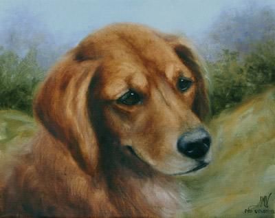 Painting titled "Throw The Ball!" by The Painter Of Homeless Pets, Original Artwork