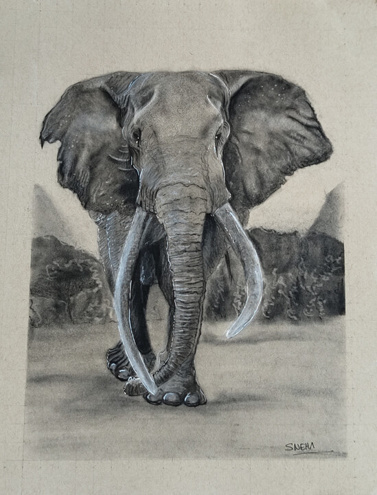 Dessin intitulée "Tusks" par Sneha Lobo, Œuvre d'art originale, Fusain