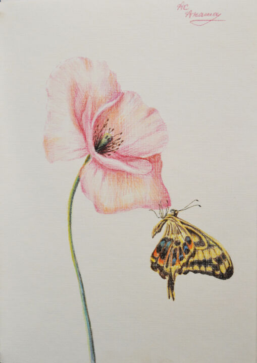 Peinture intitulée "Butterfly" par Sofia Anashkina (As Anasha), Œuvre d'art originale, Pastel