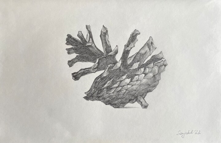 Drawing titled "Pinecone" by Sofiia Kulichkova (Sonjakul), Original Artwork, Pencil
