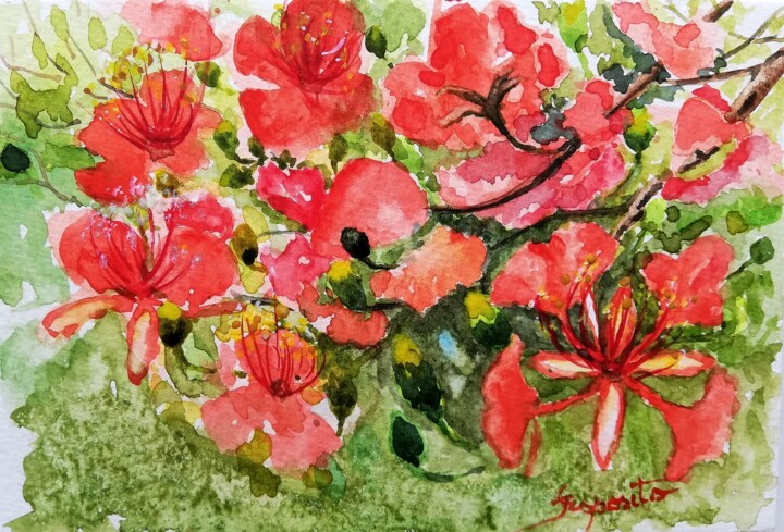 Pintura intitulada "Flores de Flamboyant" por Solange Esposito (SEsposito), Obras de arte originais, Aquarela